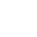 Icon of a padlock.