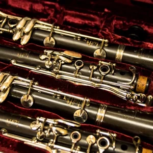 Multiple clarinet sections in a red velvet-lined case.