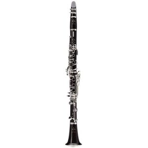 Buffet Tradition Bb/A Clarinets - NEW w/ Silver Keys